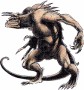 Frogboy