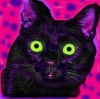 BlackKattt