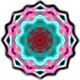 Zorin1