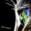 k8veeach